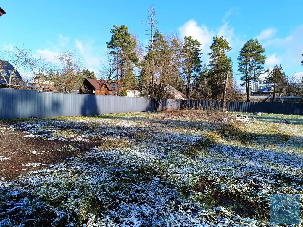 земля городской округ Солнечногорск п Радищево радищево, Ленинградское фото 9