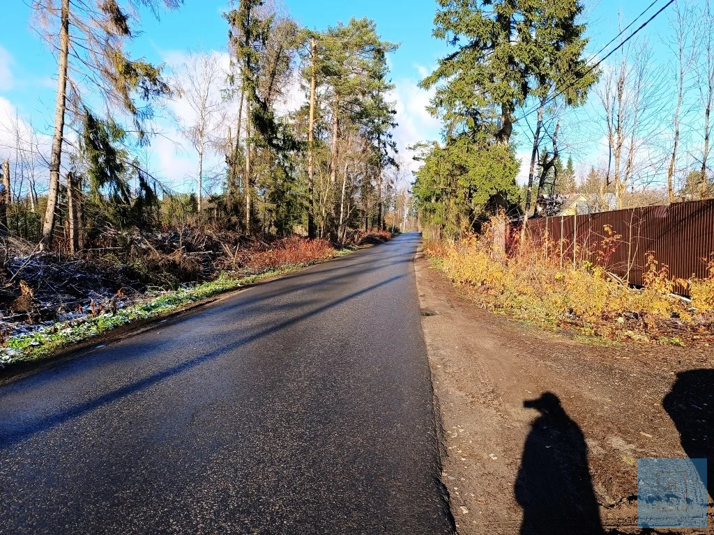 земля городской округ Солнечногорск п Радищево радищево, Ленинградское фото 10