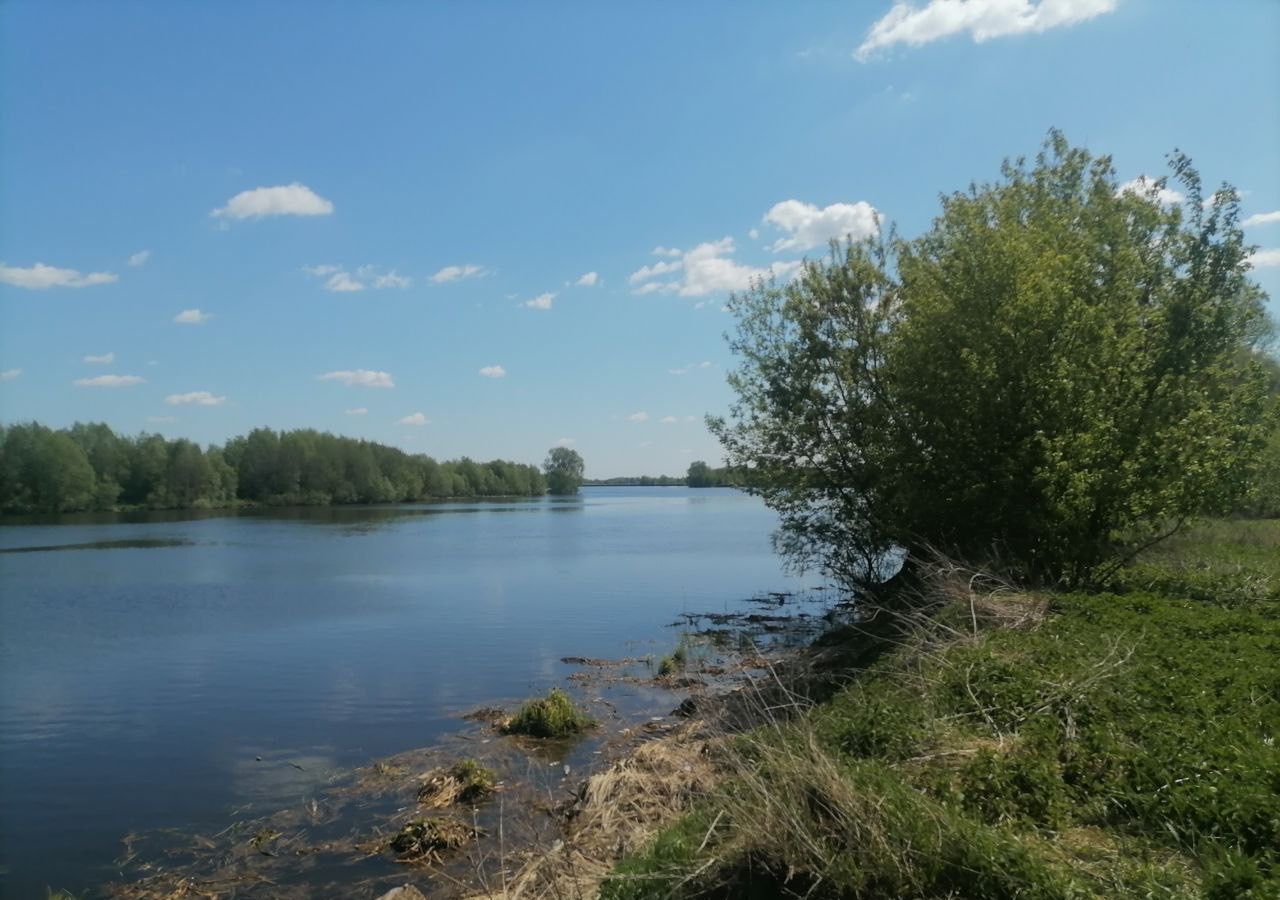 земля г Москва направление Казанское (юго-восток) ш Новорязанское 9725 км, Егорьевское шоссе фото 11