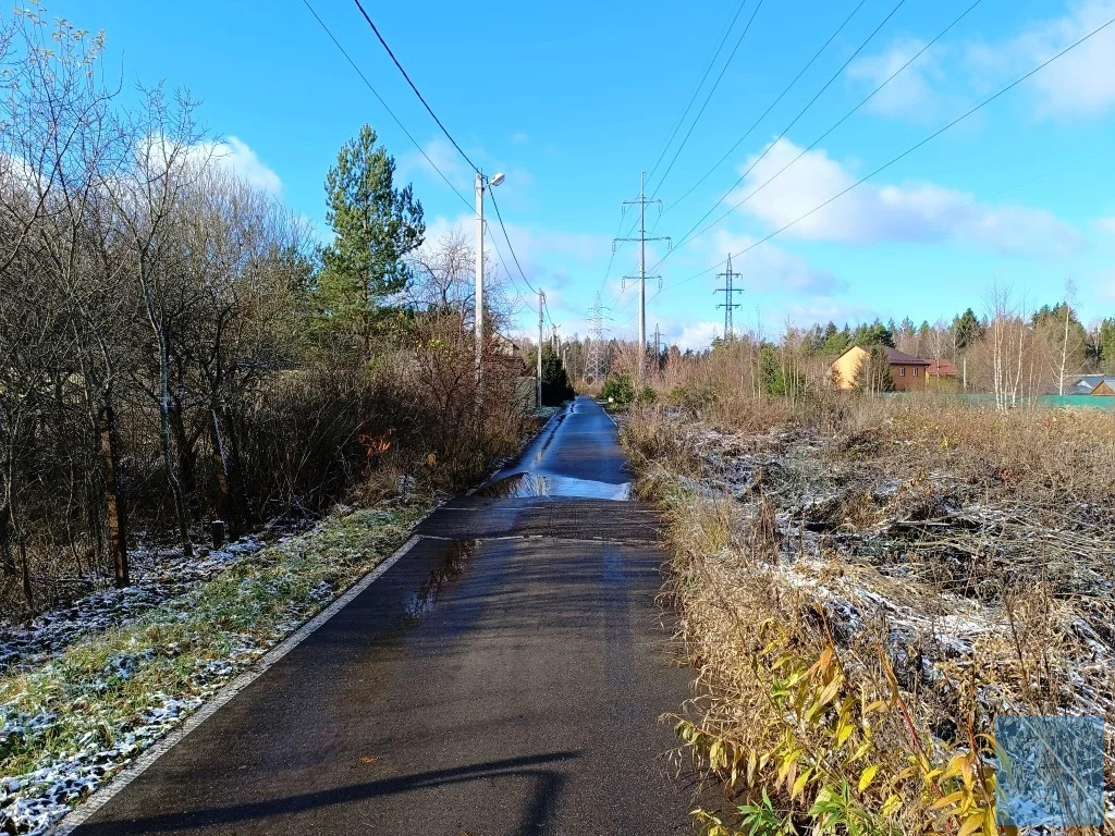 земля городской округ Солнечногорск п Шишовка огородная, Ленинградское фото 2