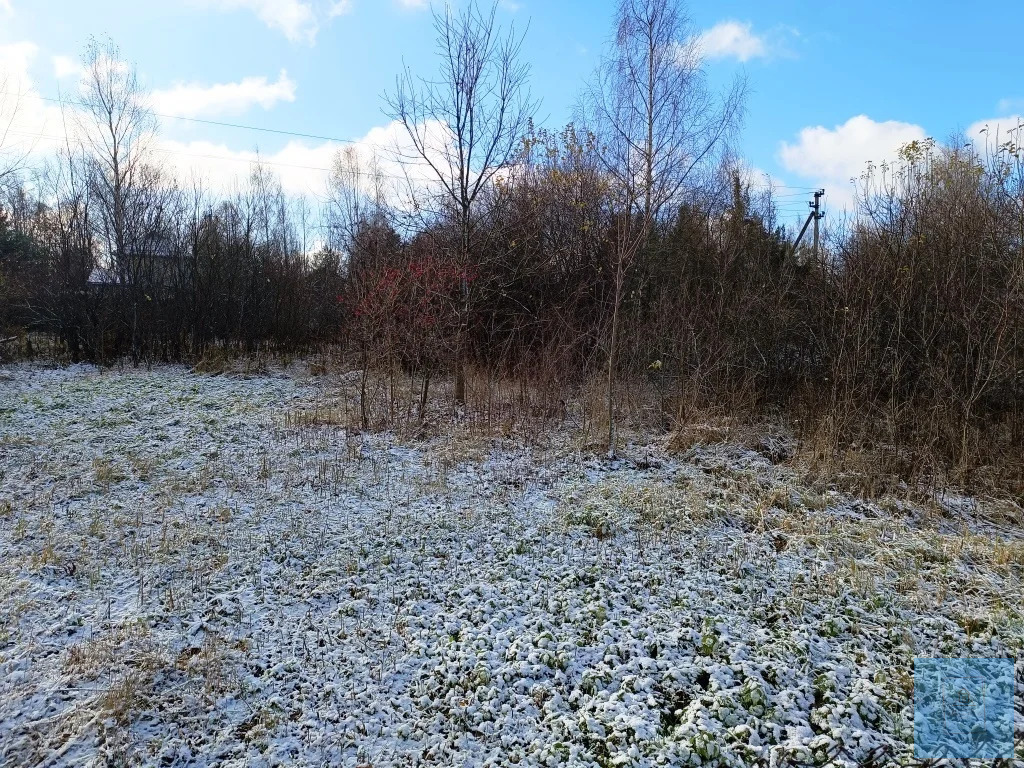 земля городской округ Солнечногорск п Шишовка огородная, Ленинградское фото 4