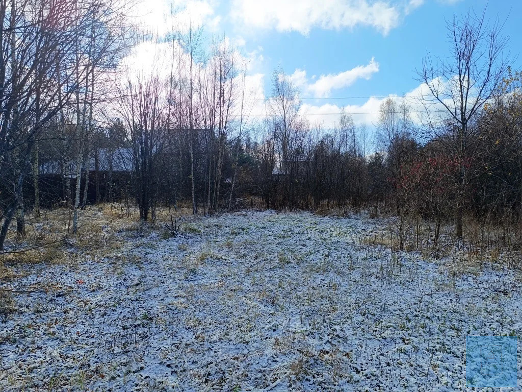 земля городской округ Солнечногорск п Шишовка огородная, Ленинградское фото 5