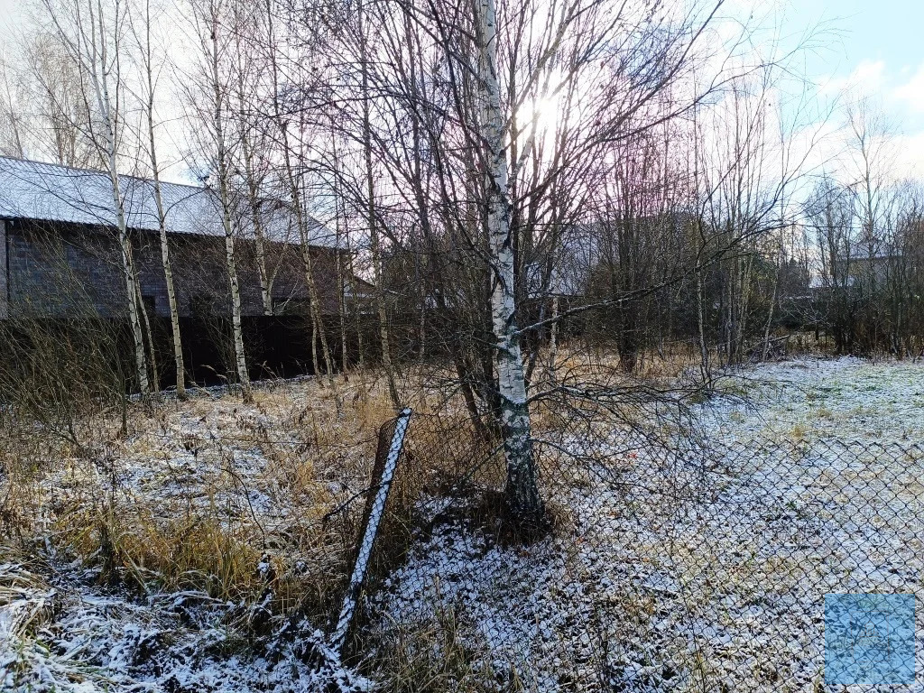 земля городской округ Солнечногорск п Шишовка огородная, Ленинградское фото 6