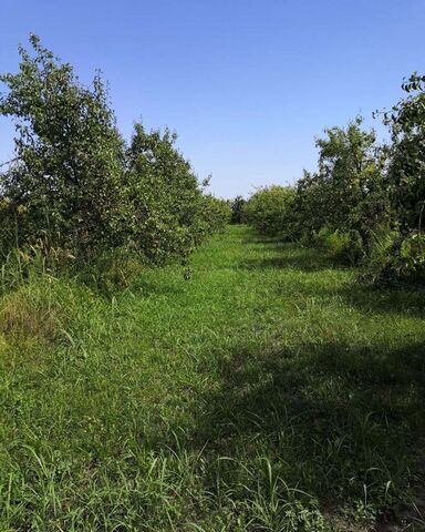 р-н Магарамкентский с Капир-Казмаляр ул Сулеймана Керимова 1 Новая Мака фото