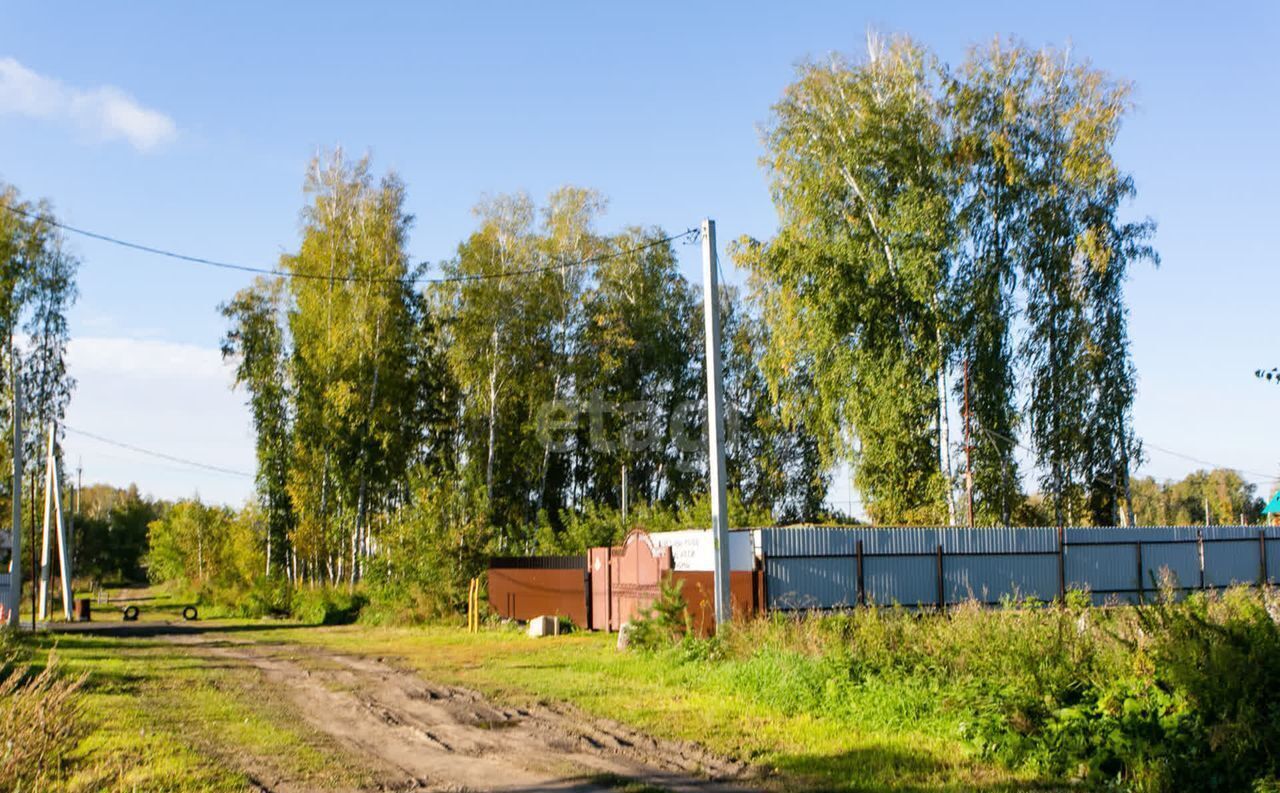 земля р-н Новосибирский с Марусино Криводановский сельсовет, Новосибирск фото 4