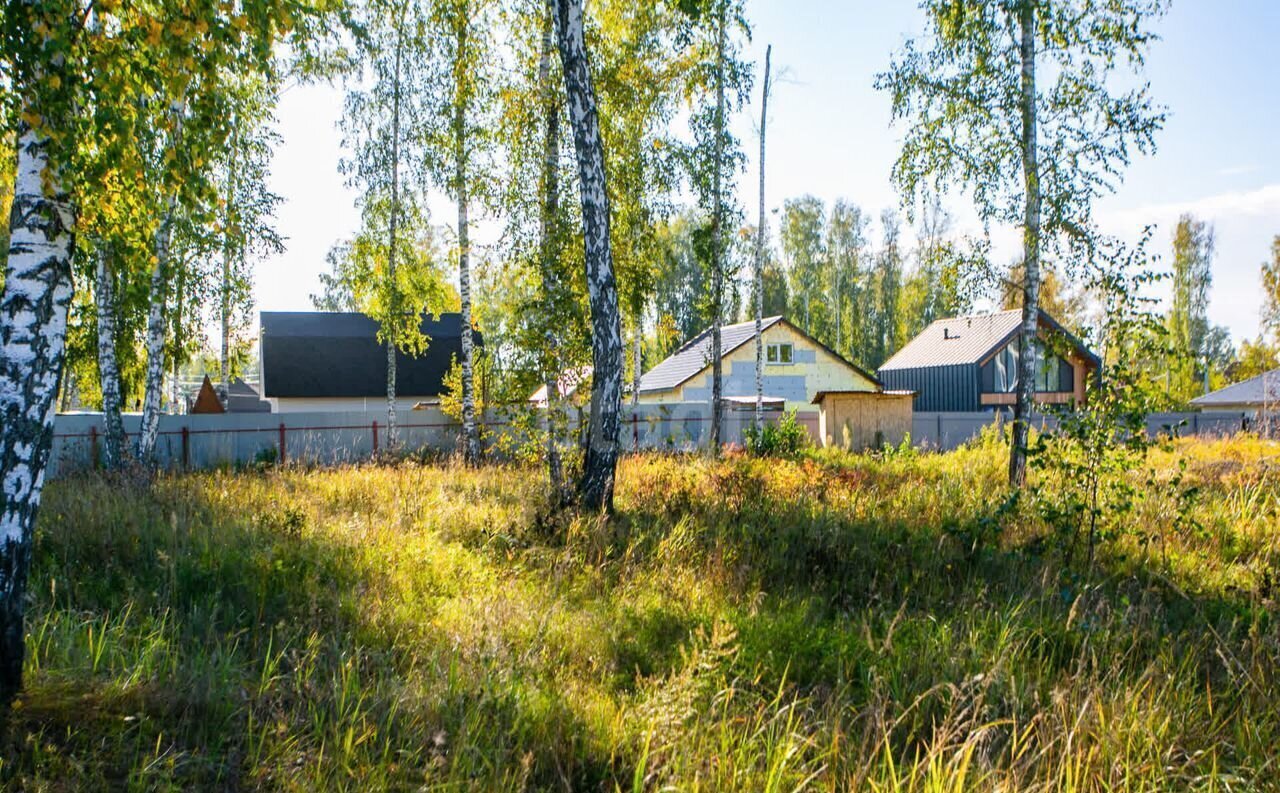 земля р-н Новосибирский с Марусино Криводановский сельсовет, Новосибирск фото 10