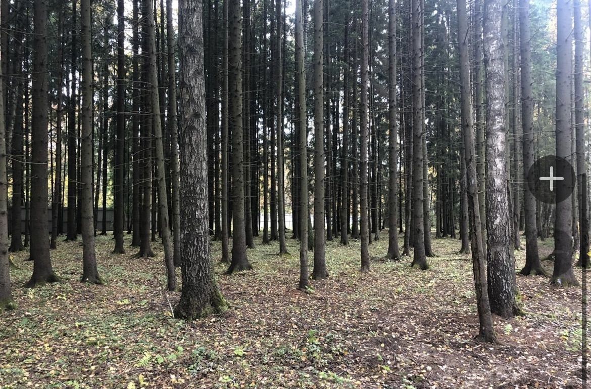 офис городской округ Одинцовский М-1 Беларусь, 33-й километр, с 1А, Кокошкино фото 16