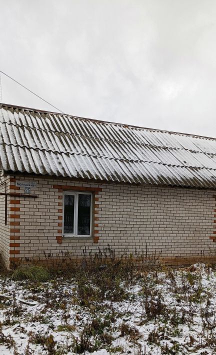 дом р-н Сеченовский с Васильевка Сеченовский муниципальный округ фото 2