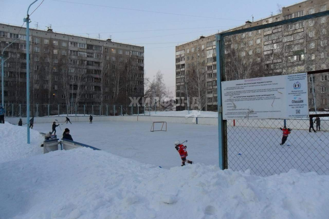 квартира г Новосибирск р-н Дзержинский ул Толбухина 25 Золотая нива фото 15