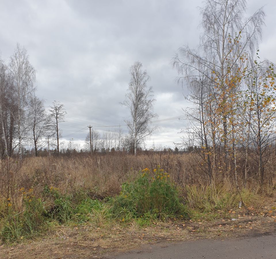 земля городской округ Богородский с Новосергиево 49 км, массив дачной застройки Новосергиевский, Черноголовка, Щёлковское шоссе фото 8