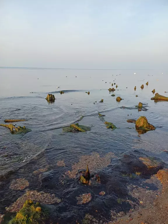 квартира р-н Зеленоградский г Зеленоградск ул Лесопарковая 7 фото 15