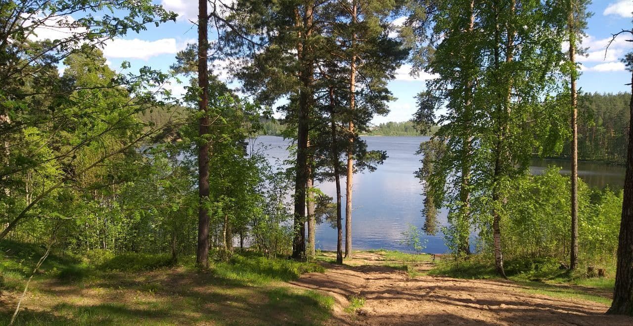 земля р-н Приозерский п Петровское ул Окружная Трасса Сортавала, 9785 км, Петровское сельское поселение, Сосново фото 2