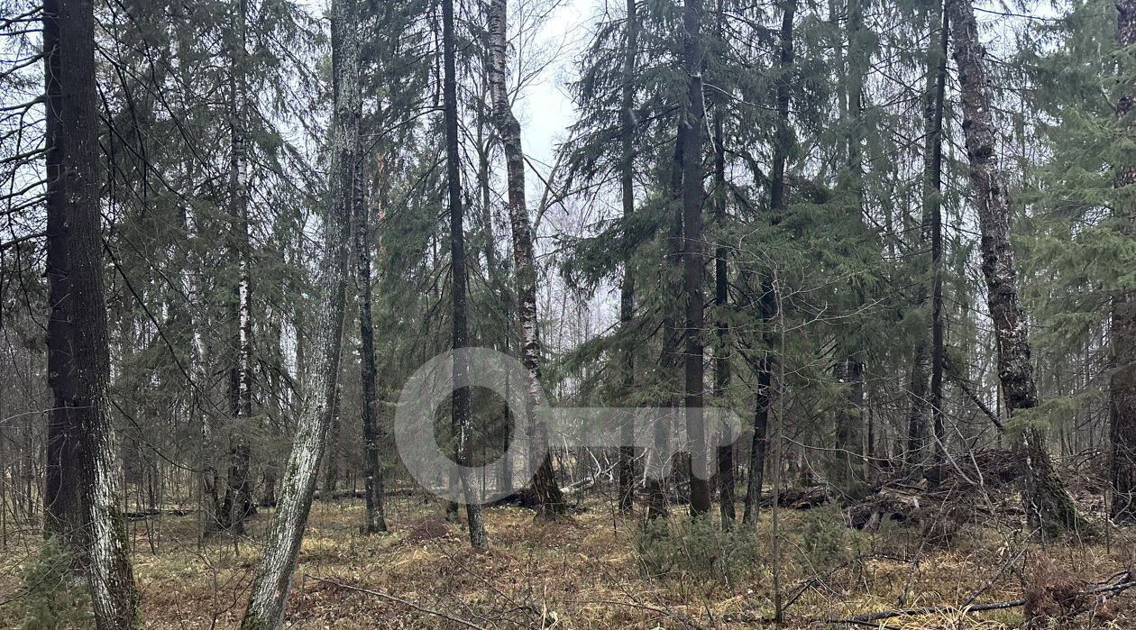 дом р-н Высокогорский д Новое Мамонино ул Кронштадтская Чернышевское с/пос фото 34