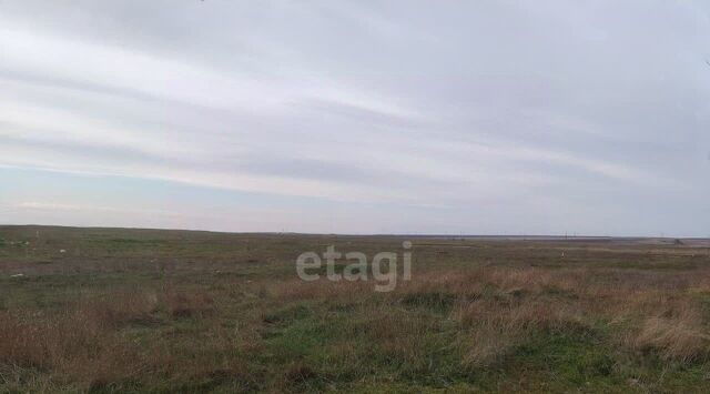 ул Тракторная Береговой сельский совет фото