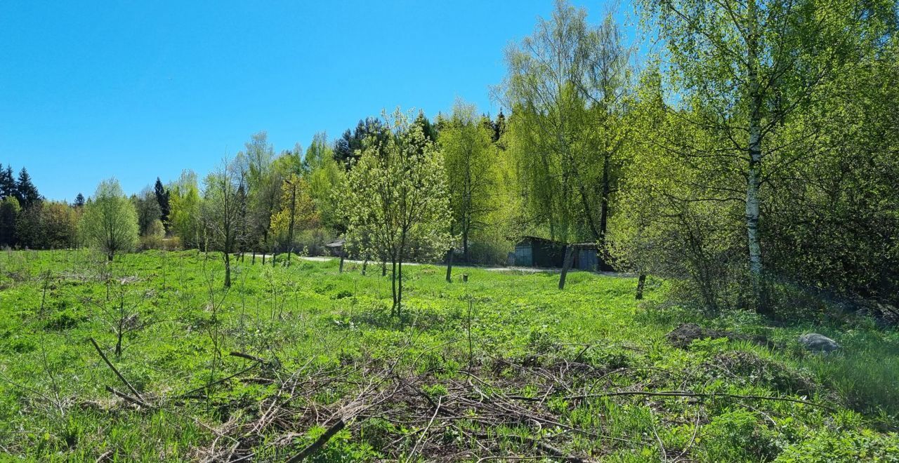 земля городской округ Мытищи п совхоза "Марфино" ул Цветочная 9743 км, Марфино, Дмитровское шоссе фото 7