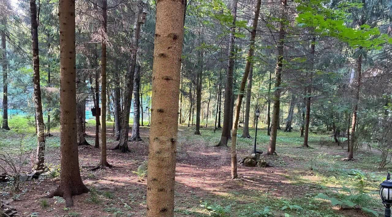 дом городской округ Наро-Фоминский д Новоглаголево ул Мишуткинская 15с Апрелевка фото 39