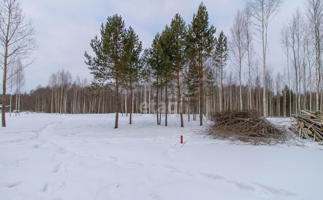 земля г Тюмень р-н Центральный снт Медик Центральный административный округ фото 5