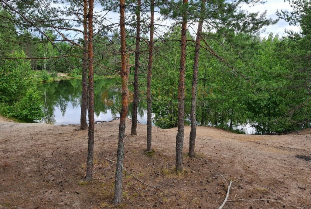 земля р-н Выборгский снт Озерное Рощинское городское поселение фото 15