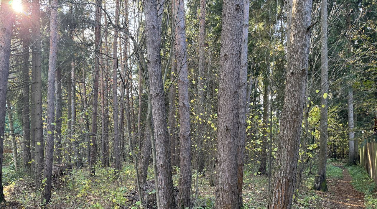 земля городской округ Одинцовский д Матвейково ДПК, Кокошкино, 19 фото 4