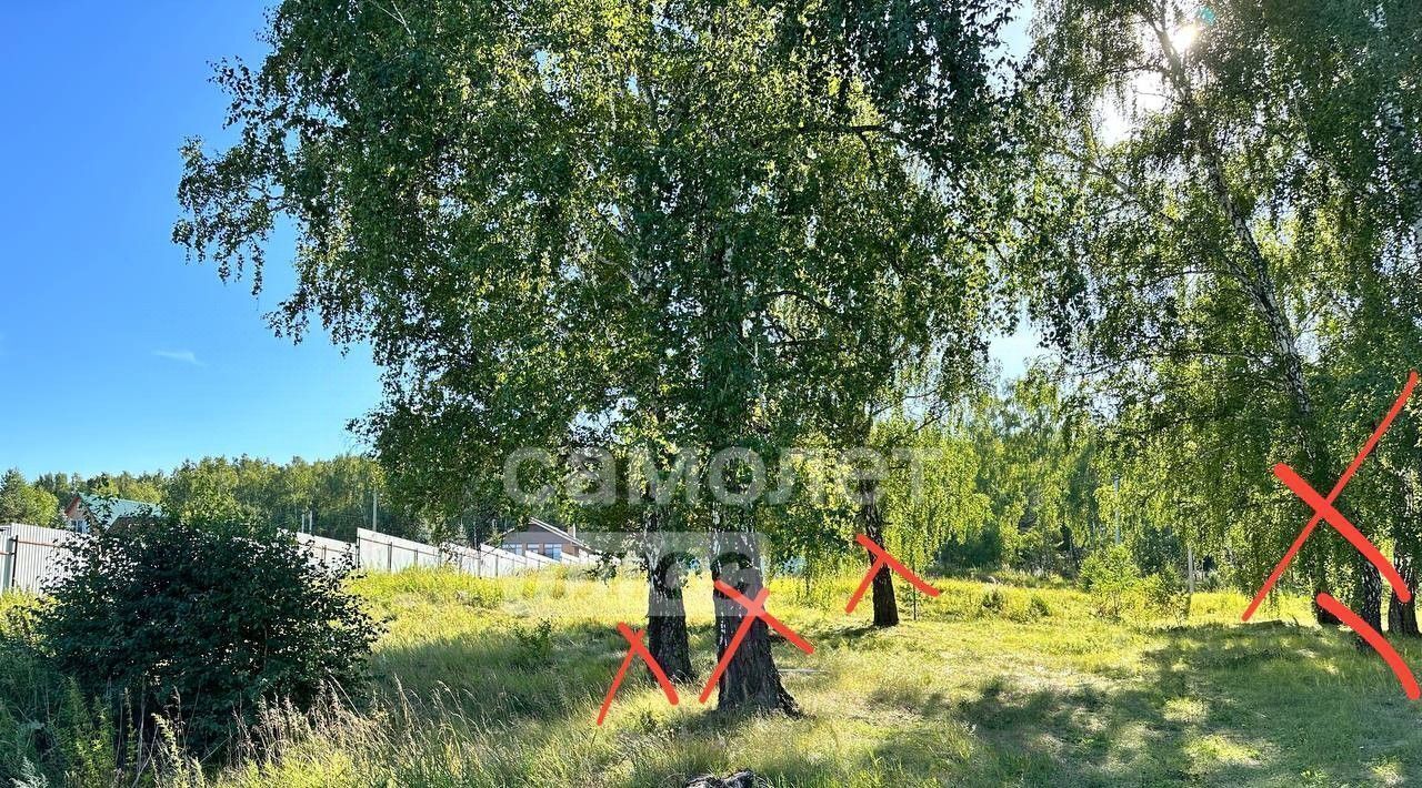 земля р-н Сосновский с Кайгородово ул Школьная Алишевское с/пос фото 2