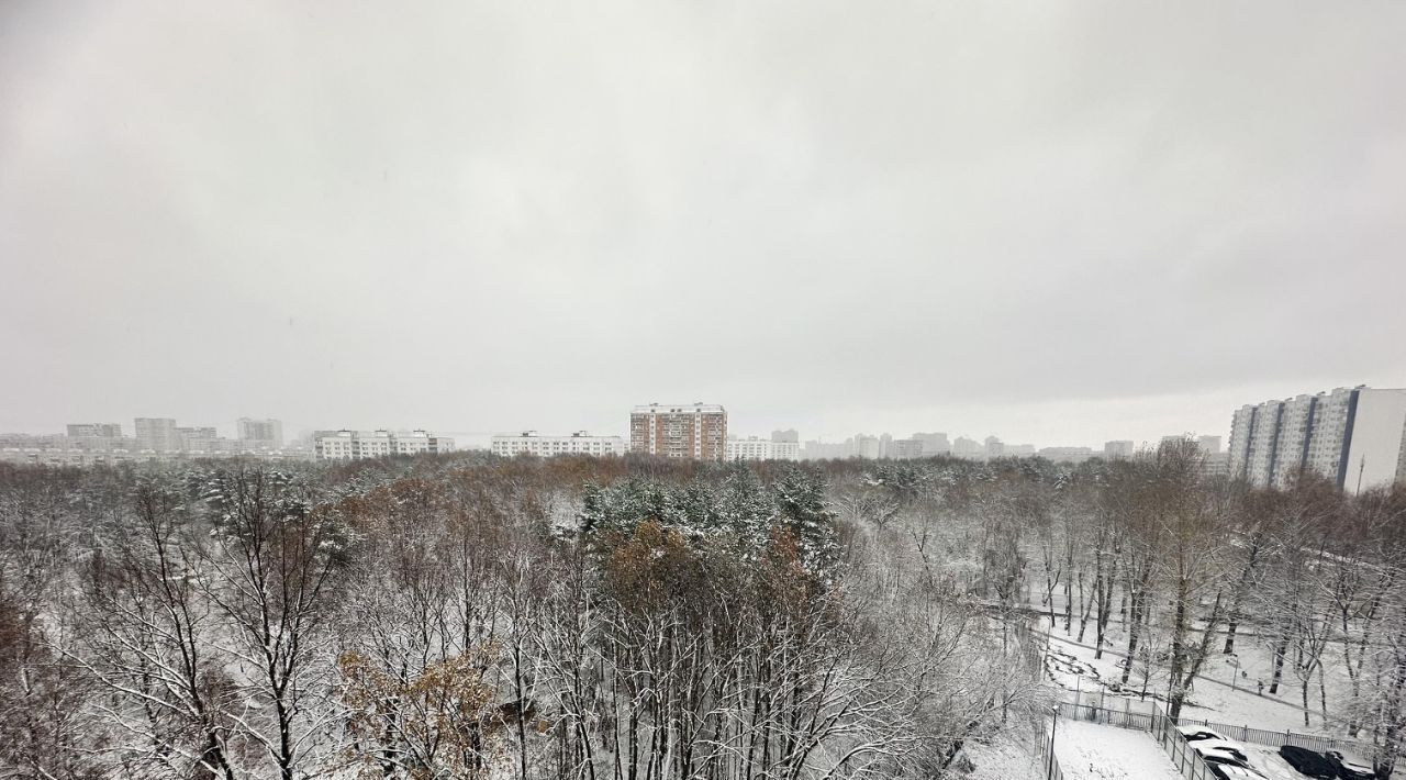 квартира г Москва метро Новогиреево пр-кт Свободный 19 муниципальный округ Ивановское фото 26