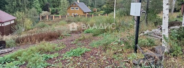 Девяткино, Кузьмоловское городское поселение фото