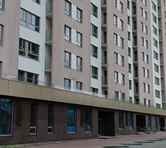 р-н Московский ул Ветеринарная 19 городской округ Рязань фото