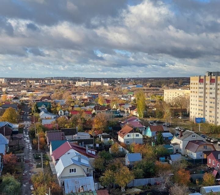 квартира г Тамбов р-н Октябрьский ул Мичуринская 110 Тамбовский район фото 10