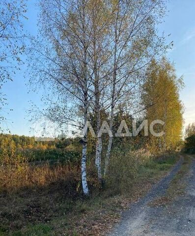 земля д Близнино муниципальное образование Второвское, Владимир фото