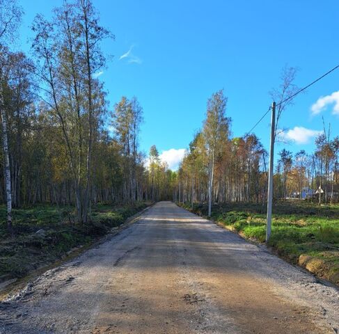 тер Восточная Токсовское городское поселение, Токсово фото