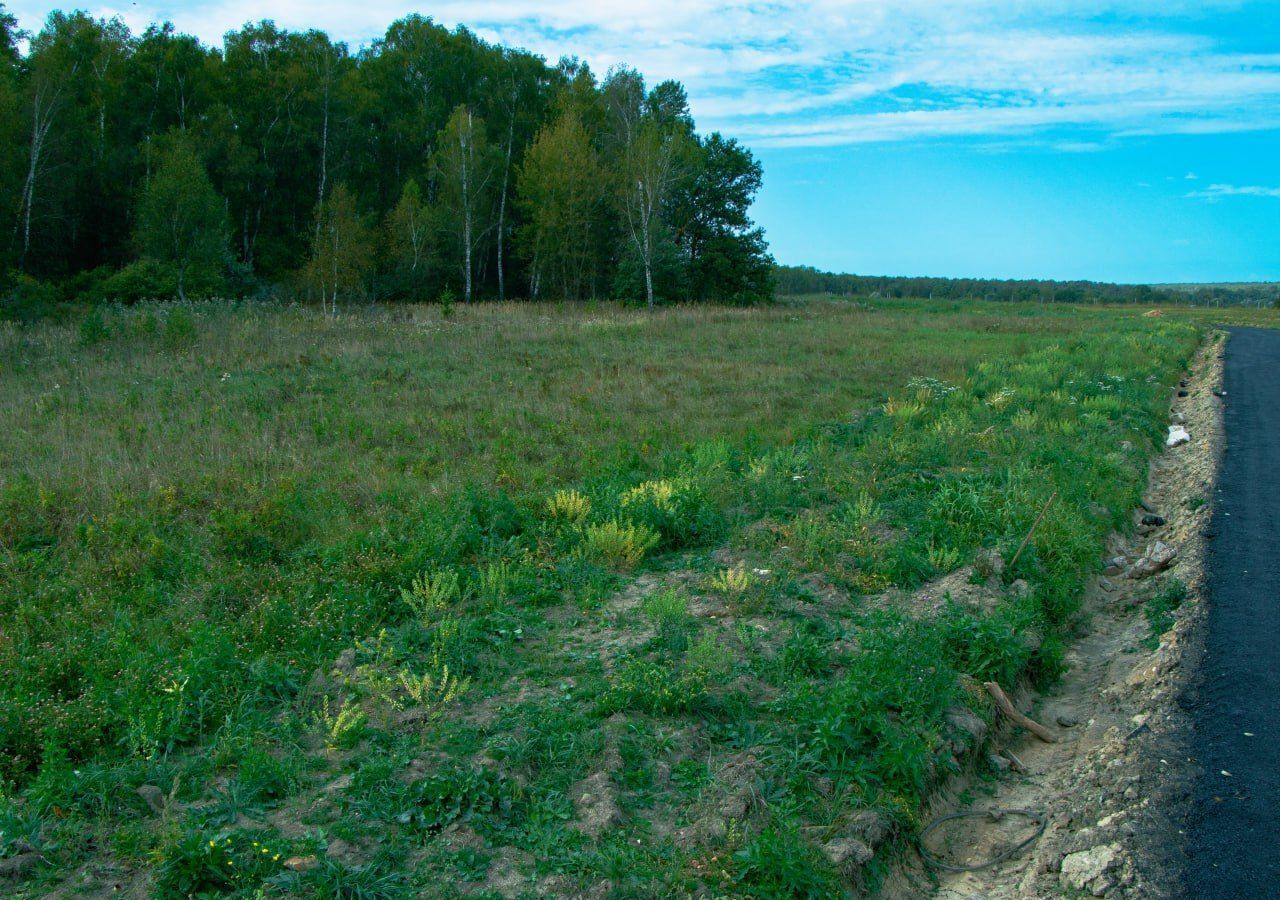 земля городской округ Истра д Бужарово 40 км, Истра, Волоколамское шоссе фото 3