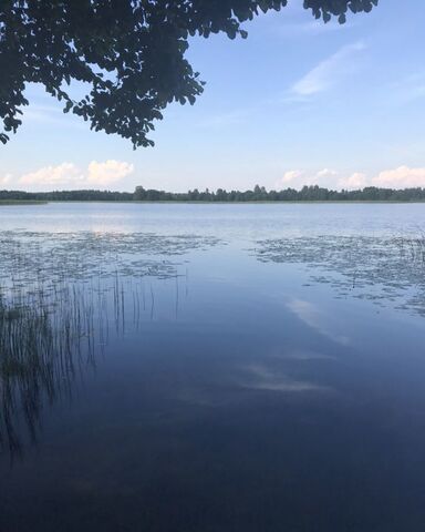 земля д Крупевицы Невель фото