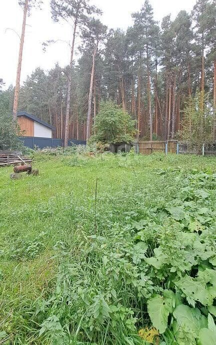 земля г Томск с Тимирязевское ул Старо-Трактовая р-н Кировский фото 3