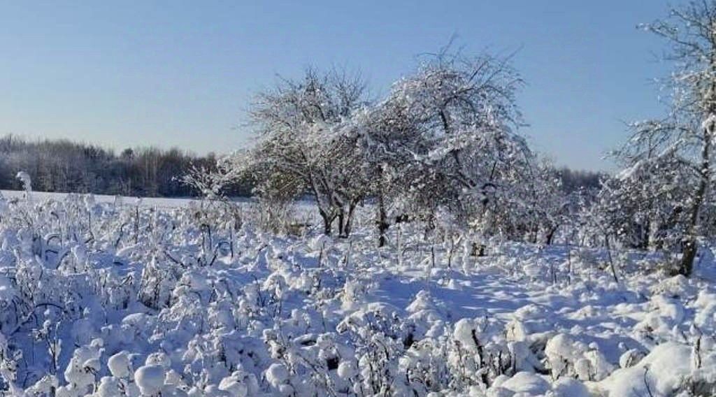 земля р-н Приозерский п Солнечное Плодовское с/пос, Парнас фото 4