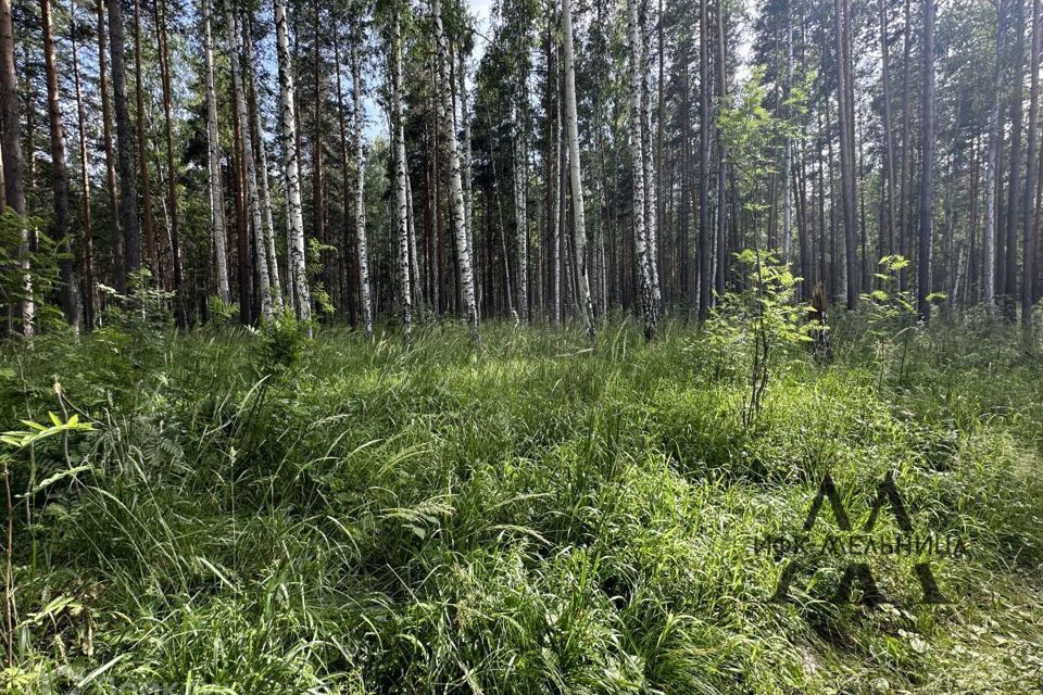 земля г Полевской п Станционный-Полевской ул Привокзальная 29 Полевской городской округ фото 1