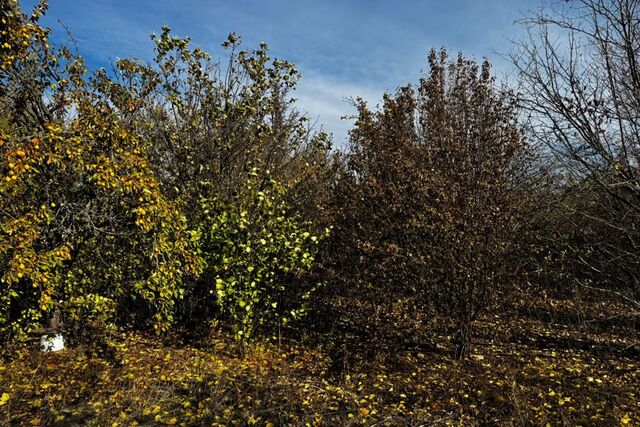 земля Новочеркасск городской округ, СТ Донские Зори фото