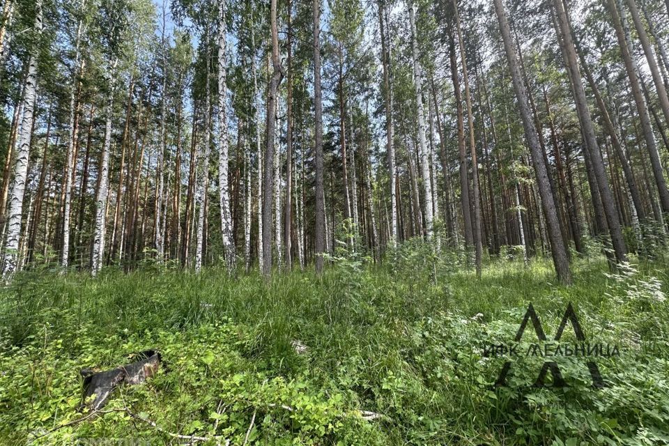 земля г Полевской п Станционный-Полевской ул Привокзальная 29 Полевской городской округ фото 2