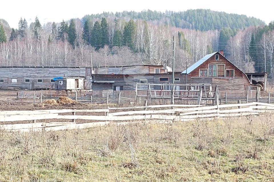 земля р-н Ильинский д Некрасово Чайковский городской округ, Садовая улица, 1 фото 2