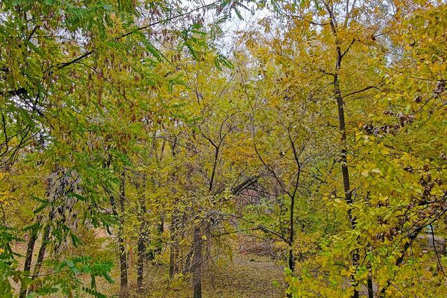 пр-кт Маршала Жукова 87 городской округ Волгоград фото