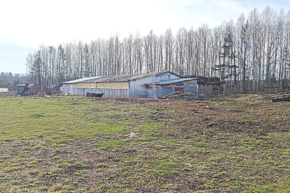 земля р-н Ильинский д Некрасово Чайковский городской округ, Садовая улица, 1 фото 10