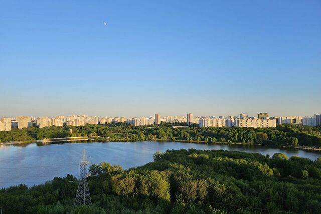 ул Борисовские Пруды 17/1 Южный административный округ фото