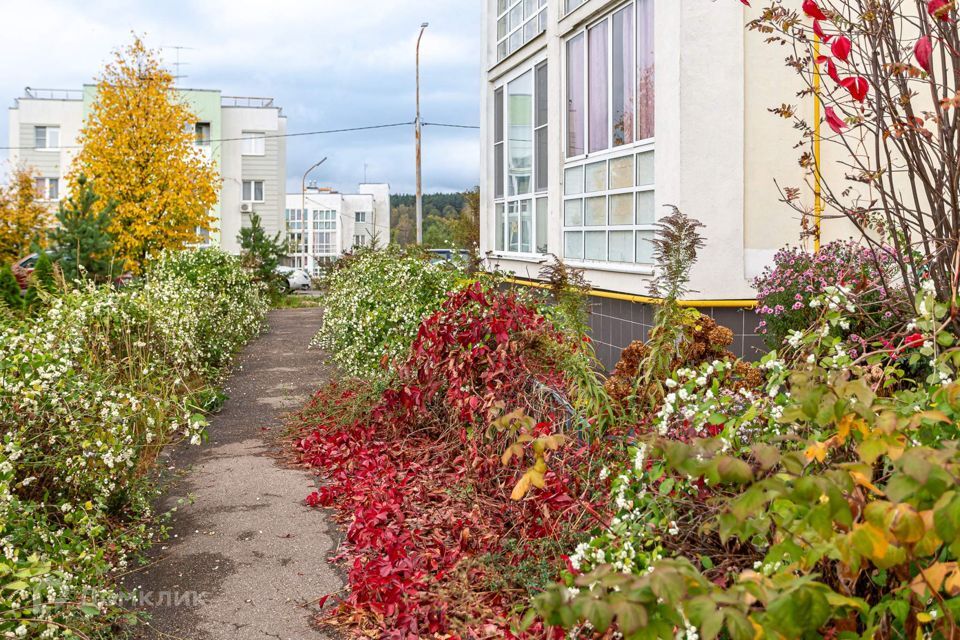 квартира городской округ Истра д Чёрная ул Европейская 49 фото 7