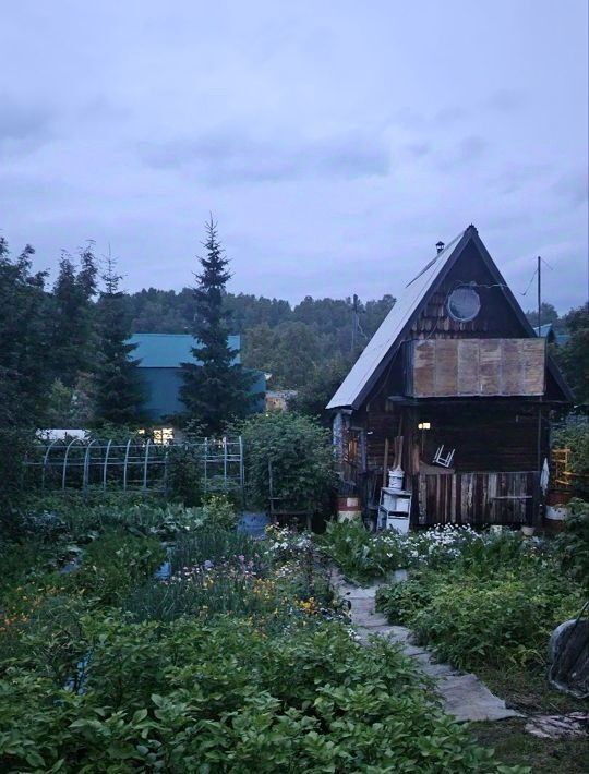 дом р-н Елизовский Шивелуч Камчатского морского пароходства СНТ, просп. Дачный фото 35