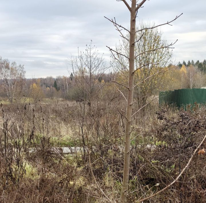 земля городской округ Сергиево-Посадский д Тешилово фото 19