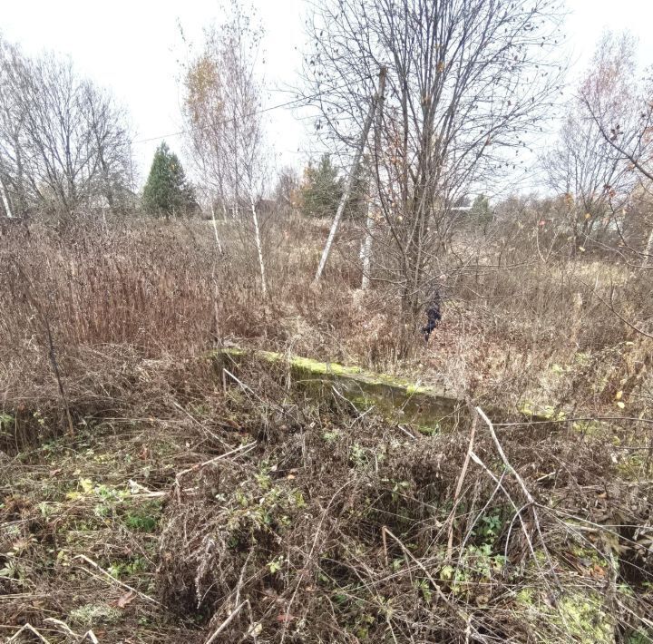 земля городской округ Сергиево-Посадский д Тешилово фото 21