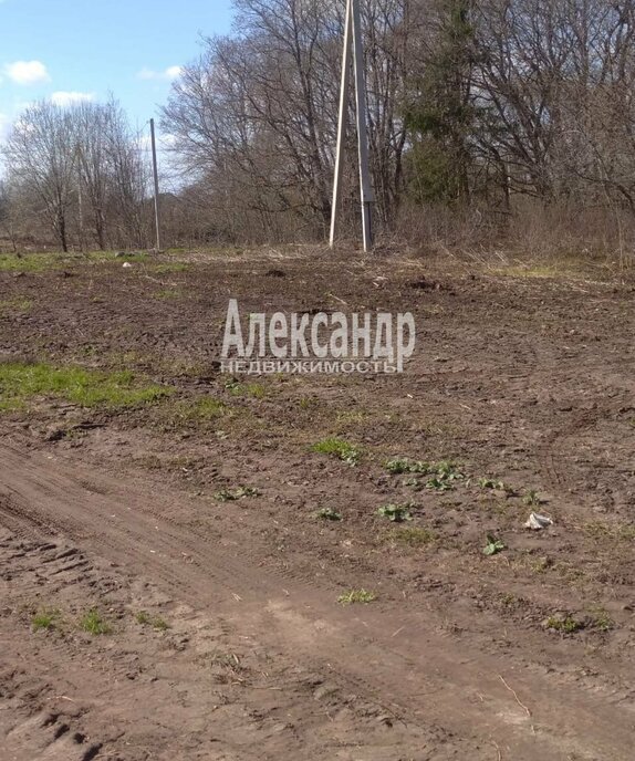 земля р-н Лужский д Надбелье Ям-Тёсовское сельское поселение фото 3