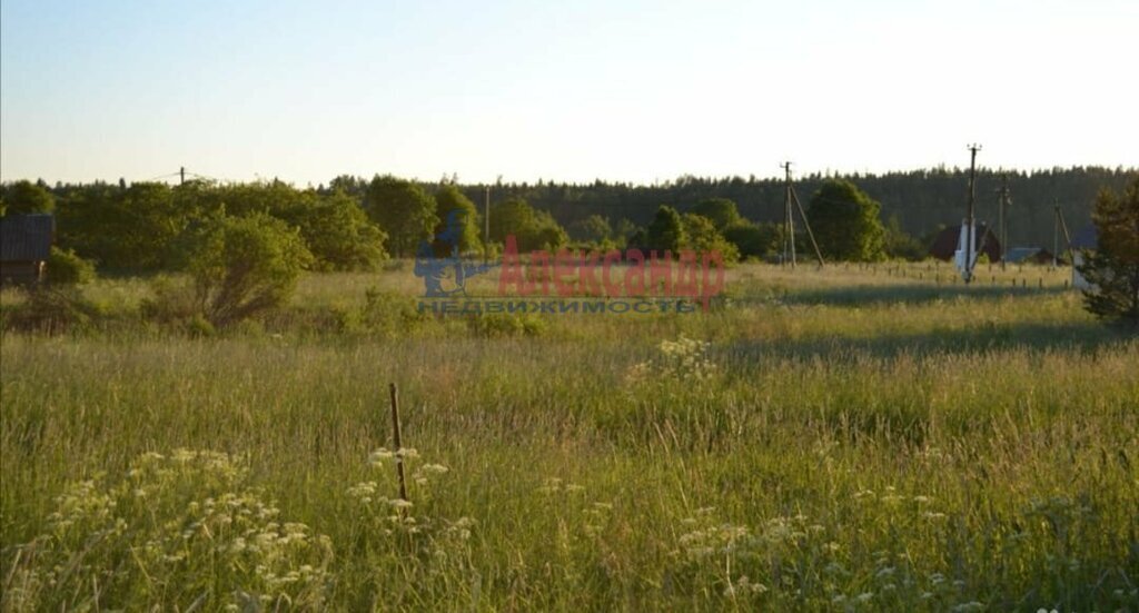 земля р-н Выборгский п Глубокое Каменногорское городское поселение фото 9