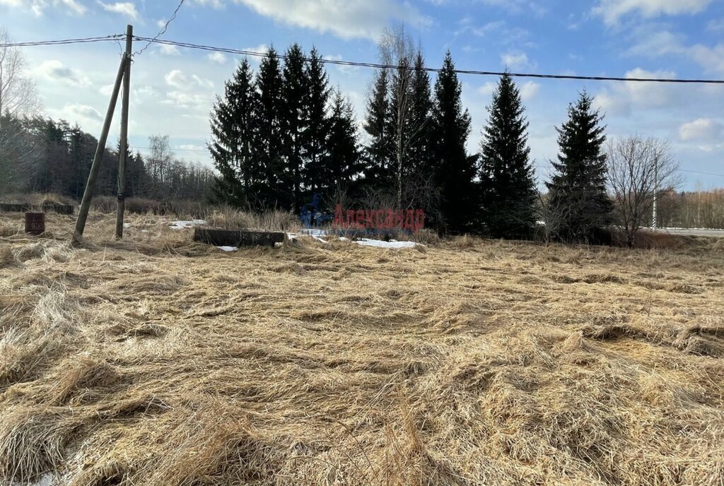 земля р-н Приозерский п Беличье Ларионовское сельское поселение фото 7