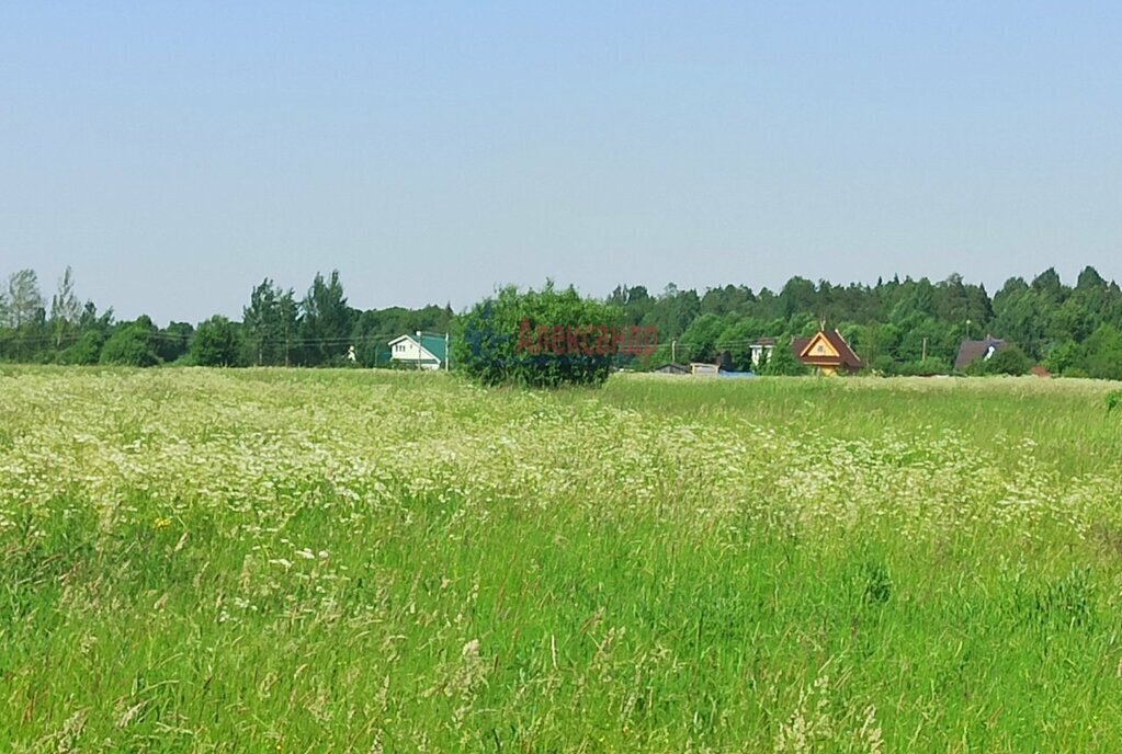 земля р-н Волховский д Вельца Бережковское сельское поселение фото 4