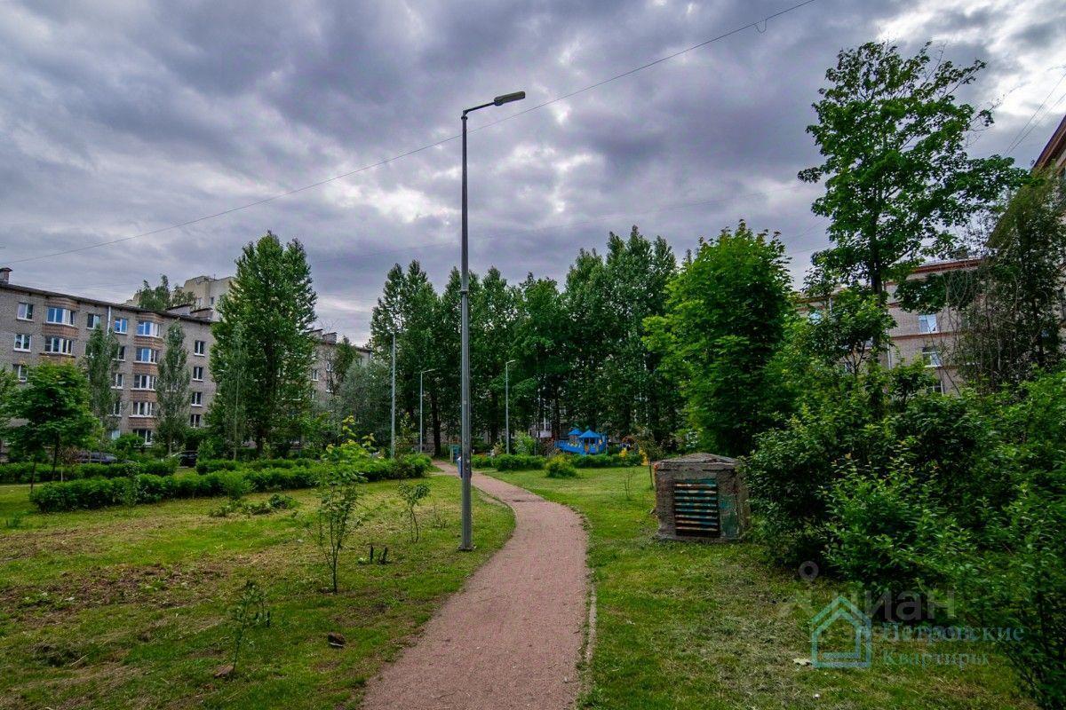 квартира г Санкт-Петербург пр-кт Удельный 31 округ Светлановское, Ленинградская область фото 5